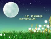 蘇科版九年級(jí)數(shù)學(xué)上冊(cè) 2.1 圓課件PPT
