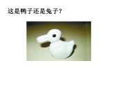 蘇科版八年級數(shù)學(xué)上冊 6.5 一次函數(shù)與二元一次方程課件PPT