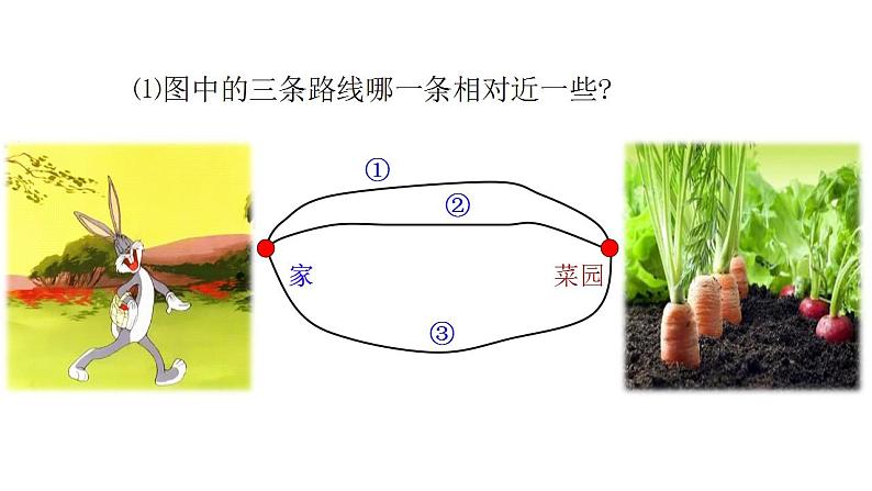 苏科版七年级数学上册 6.1 线段、射线、直线课件PPT03