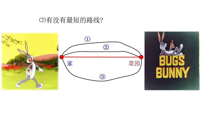 苏科版七年级数学上册 6.1 线段、射线、直线课件PPT04