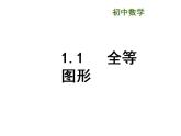 蘇科版八年級數(shù)學上冊 1.1 全等圖形課件PPT