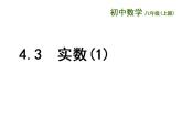 苏科版八年级数学上册 4.3 实数课件PPT