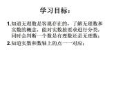 苏科版八年级数学上册 4.3 实数课件PPT