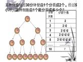北师大版七年级数学上册《有理数的乘方》课件2