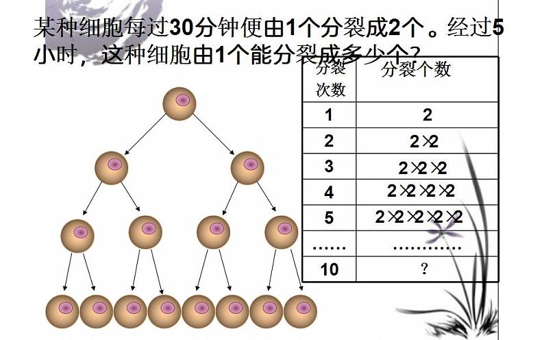 北师大版七年级数学上册《有理数的乘方》课件2第3页