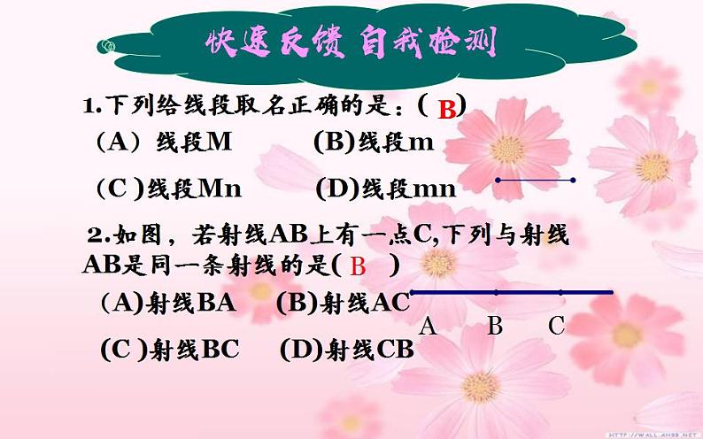 北师大版七年级数学上册《线段、射线、直线》课件第8页