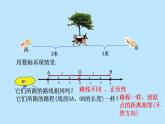 北师大版七年级数学上册《绝对值》优课课件