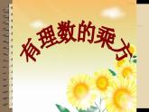 北师大版七年级数学上册《有理数的乘方》教学课件