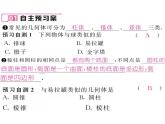 北师大版七年级数学上册《生活中的立体图形》培优课件