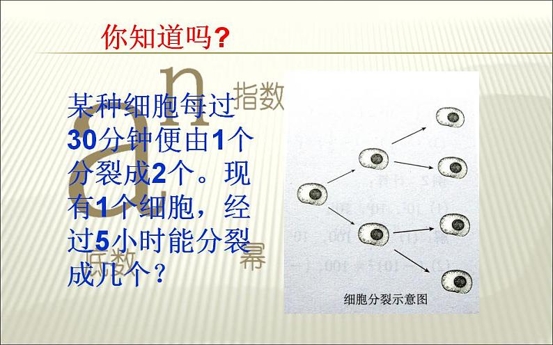 北师大版七年级数学上册《有理数的乘方》课件第5页