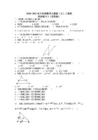 数学八年级上册第十一章 三角形综合与测试测试题