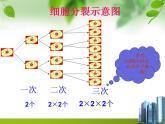 2.9 有理数的乘方（14）（课件）数学七年级上册-北师大版