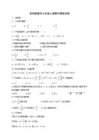 苏科版数学七年级上册期中模拟试卷07（含答案）