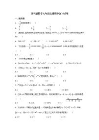 苏科版数学七年级上册期中复习试卷02（含答案）