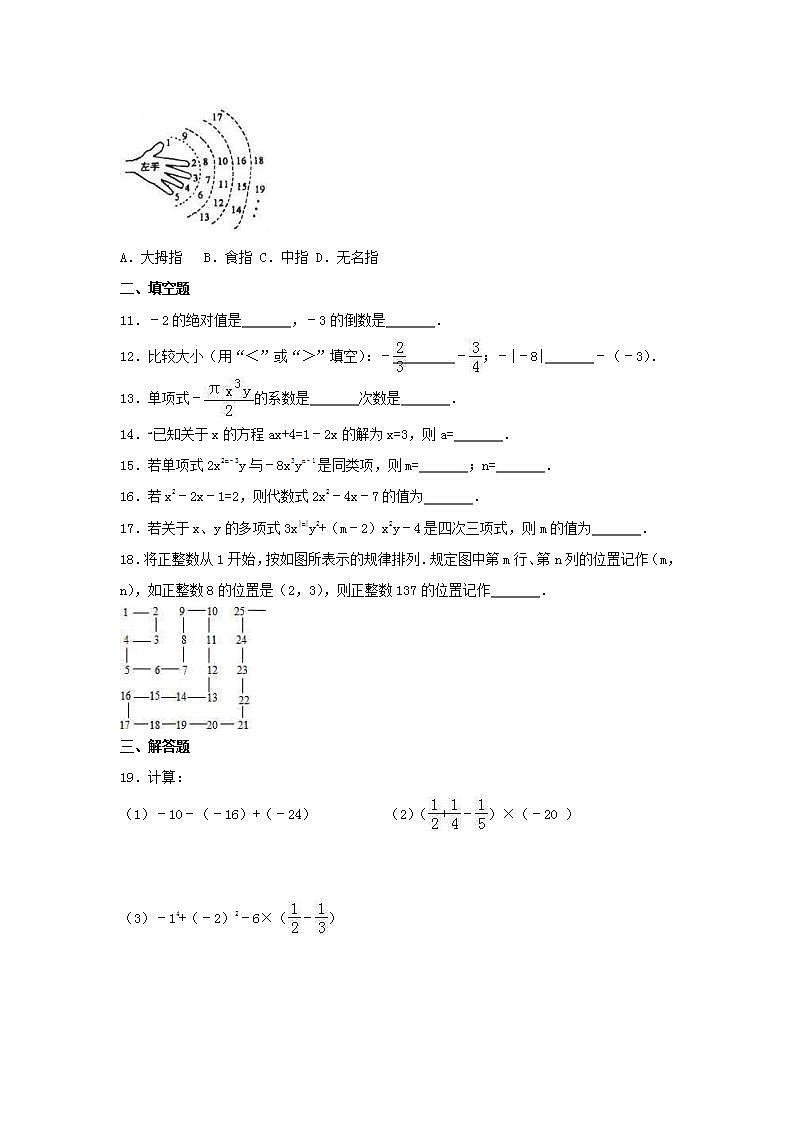 苏科版数学七年级上册期中模拟试卷七（含答案）第2页