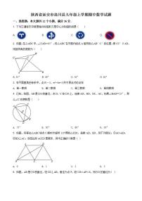 精品解析：陕西省延安市洛川县2020-2021学年九年级上学期期中数学试题（解析版）