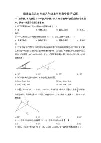 精品解析：湖北省宜昌市东部2020-2021学年八年级上学期期中数学试题（解析版）