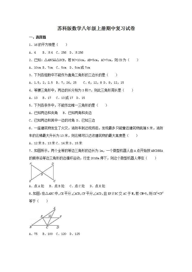 苏科版数学八年级上册期中复习试卷01（含答案）01