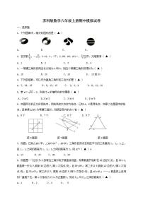 苏科版数学八年级上册期中模拟试卷十（含答案）