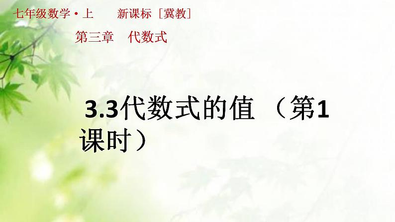 3.3 代数式的值（8）（课件）数学七年级上册-冀教版第1页