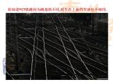 4.1 整式（7）（课件）数学七年级上册-冀教版