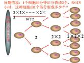 1.10 有理数的乘方（6）（课件）数学七年级上册-冀教版