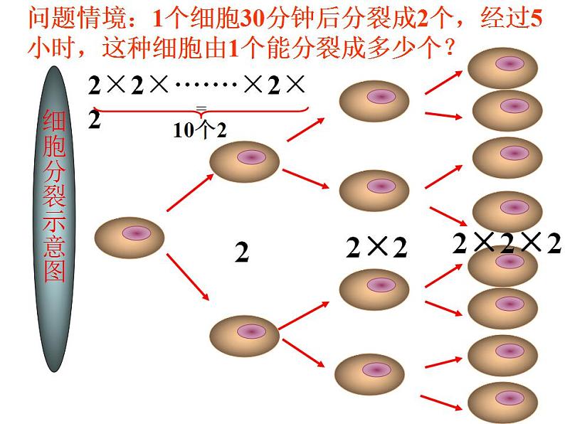 1.10 有理数的乘方（6）（课件）数学七年级上册-冀教版第2页