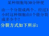 5.2 等式的基本性质（8）（课件）数学七年级上册-冀教版