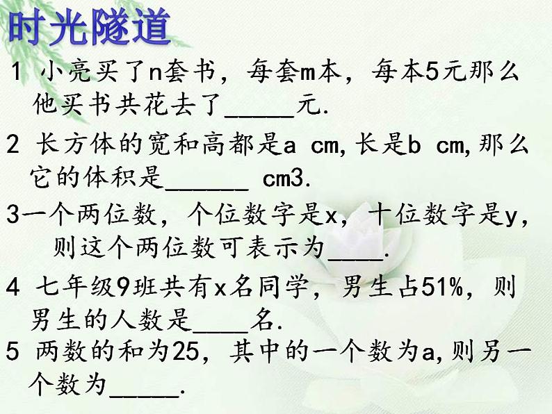 4.1 整式（8）（课件）数学七年级上册-冀教版02