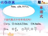 4.1 整式（8）（课件）数学七年级上册-冀教版