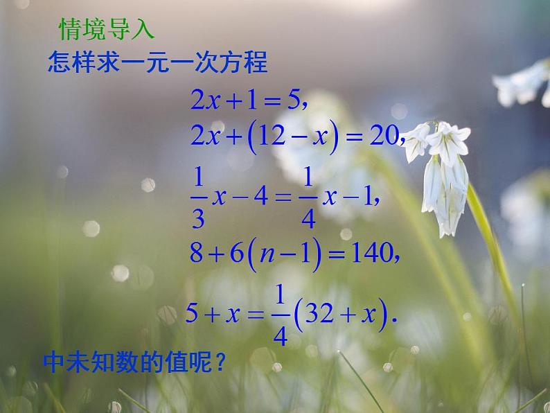 4.2 解一元一次方程（6）（课件）数学七年级上册-苏科版第2页