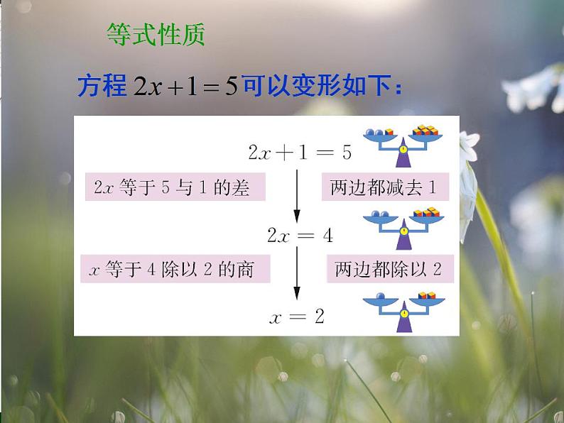 4.2 解一元一次方程（6）（课件）数学七年级上册-苏科版第6页