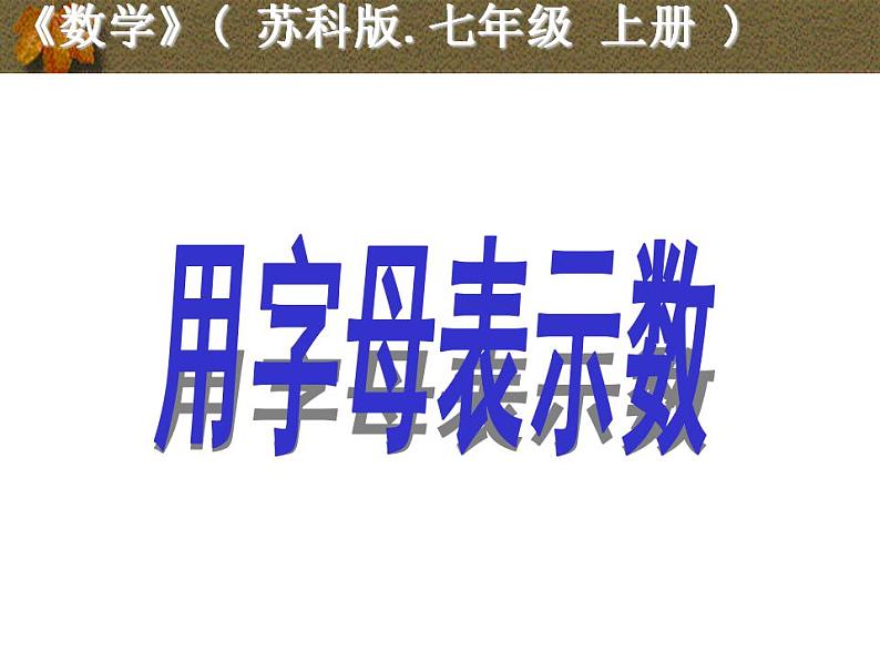 苏科版七年级数学上册 3.1 字母表示数课件PPT08