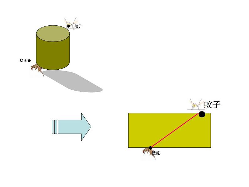 5.3 展开与折叠（6）（课件）数学七年级上册-苏科版第4页