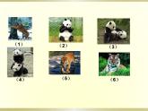 蘇科版七年級數(shù)學(xué)上冊 3.4 合并同類項課件PPT