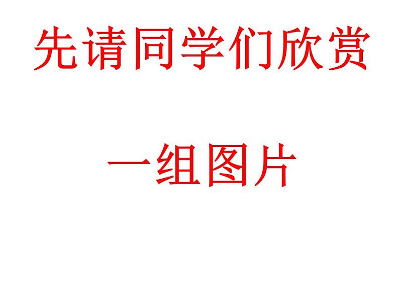 5.1 丰富的图形世界（6）（课件）数学七年级上册-苏科版02