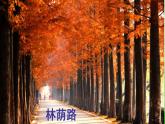 2.3 數(shù)軸（6）（課件）數(shù)學(xué)七年級(jí)上冊(cè)-蘇科版