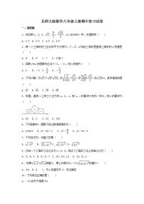 北师大版数学八年级上册期中复习试卷02（含答案）