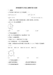 苏科版数学九年级上册期中复习试卷10（含答案）