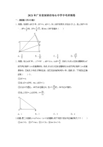 2021年广东省深圳市布心中学中考冲刺卷