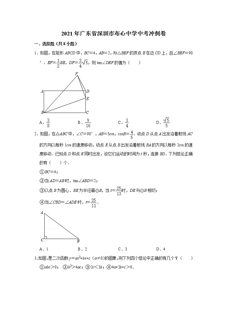 2021年广东省深圳市布心中学中考冲刺卷01