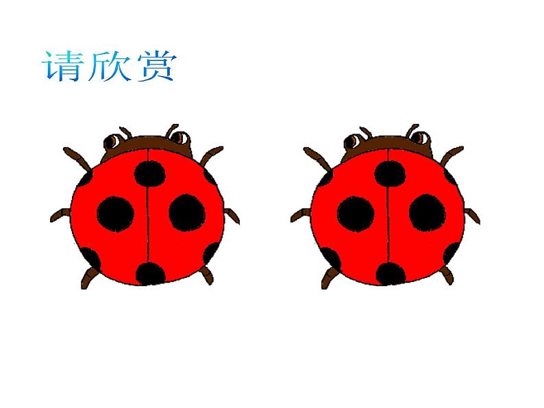 苏科版八年级数学上册 1.1 全等图形课件PPT03