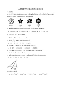 人教版数学八年级上册期末复习试卷03（含答案）