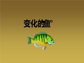 北师大版八年级数学上册《轴对称与坐标变化》课件