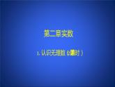 北师大版八年级数学上册《认识无理数》（第2课时）课件