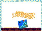 北师大版八年级数学上册《轴对称与坐标变化》教学课件2