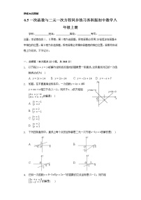 初中数学苏科版八年级上册6.5 一次函数与二元一次方程精品课时练习