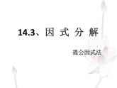 14.3.1提公因式法课件-2021-2022学年人教版初中数学八年级上册