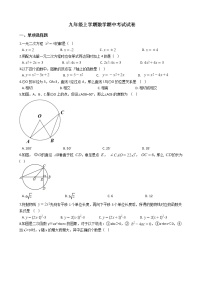 2021年江苏省徐州市九年级上学期数学期中考试试卷含答案