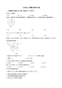 2021年广东省深圳市九年级上学期数学期中试卷含答案